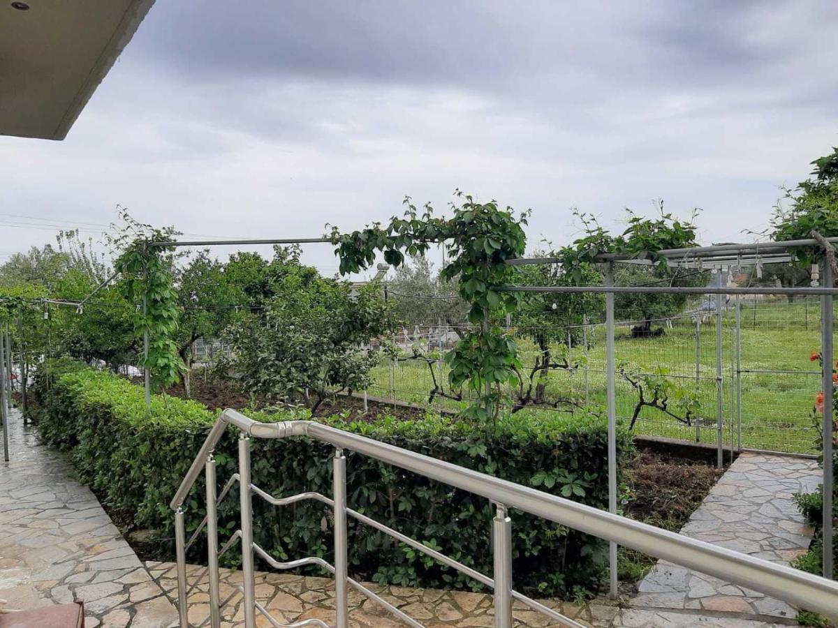Rexhos Studios Himare Buitenkant foto
